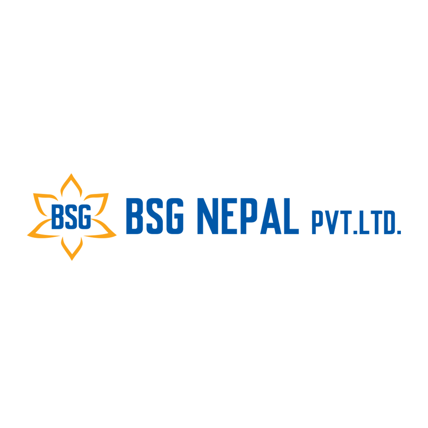 BSG Nepal Pvt. Ltd.